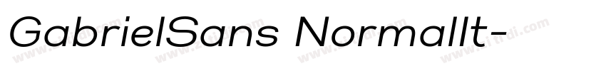 GabrielSans NormalIt字体转换